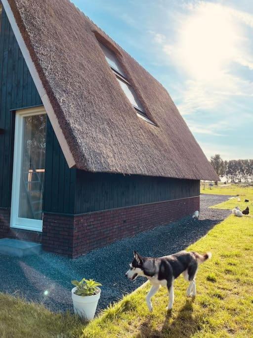 Cozy Appartment On The Farm Loenen aan de Vecht Εξωτερικό φωτογραφία